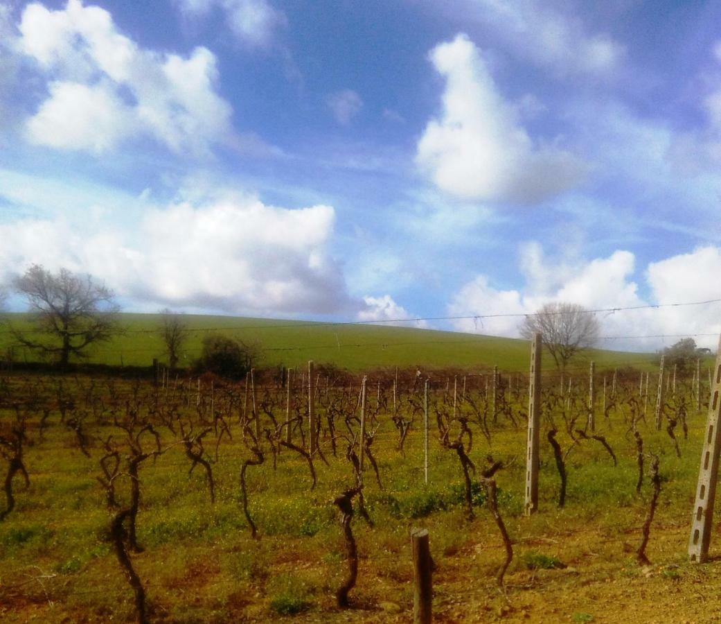 Agriturismo Il Cantiniere Grosseto Kültér fotó