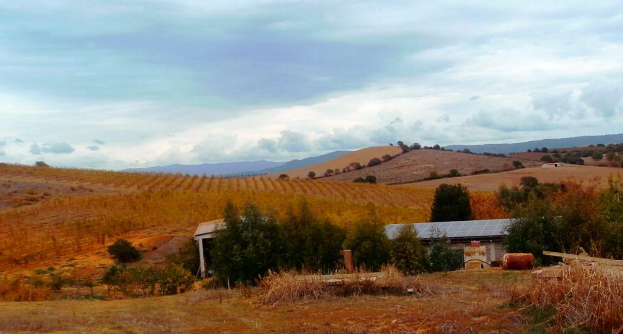 Agriturismo Il Cantiniere Grosseto Kültér fotó