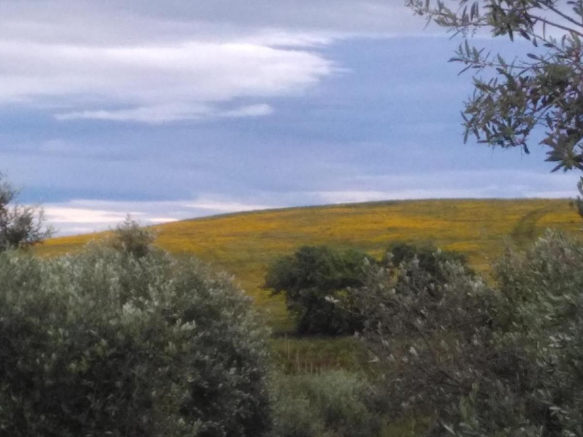 Agriturismo Il Cantiniere Grosseto Kültér fotó